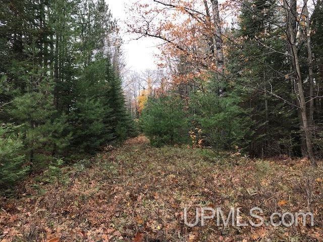 T-wi Wi 54121 Road Florence, WI 54121 - Photo 1 of 14