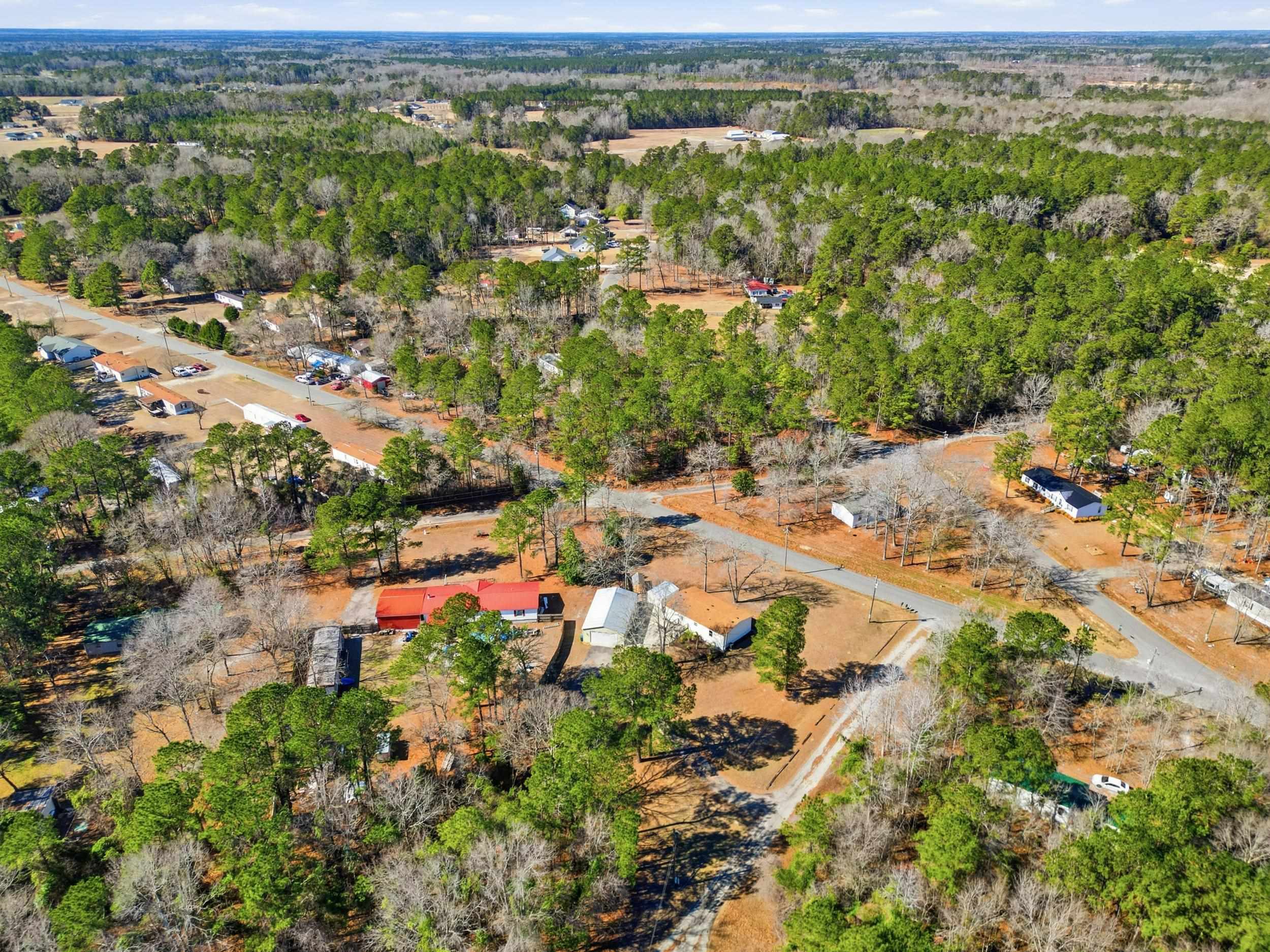 1309 Ralph Road Galivants Ferry, SC 29544 - Photo 41 of 48