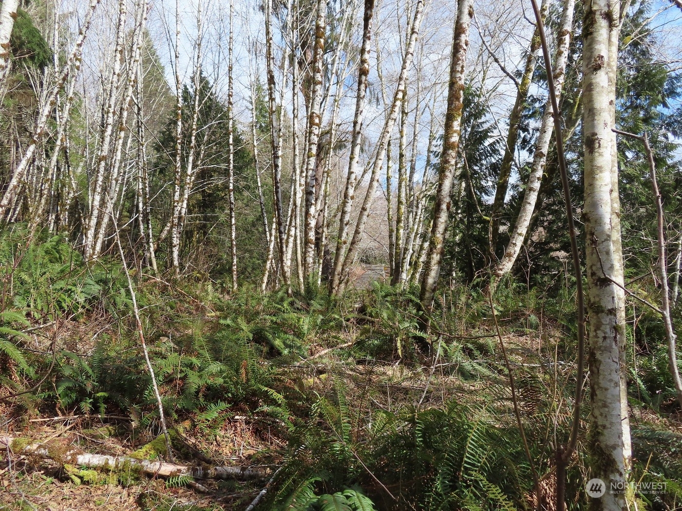 -xxx Artic Road Cosmopolis, WA 98537 - Photo 13 of 24 Gallery Image 13