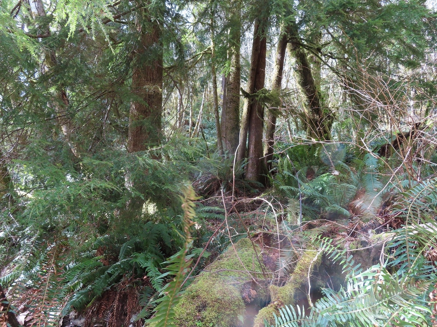 Gallery Image 7