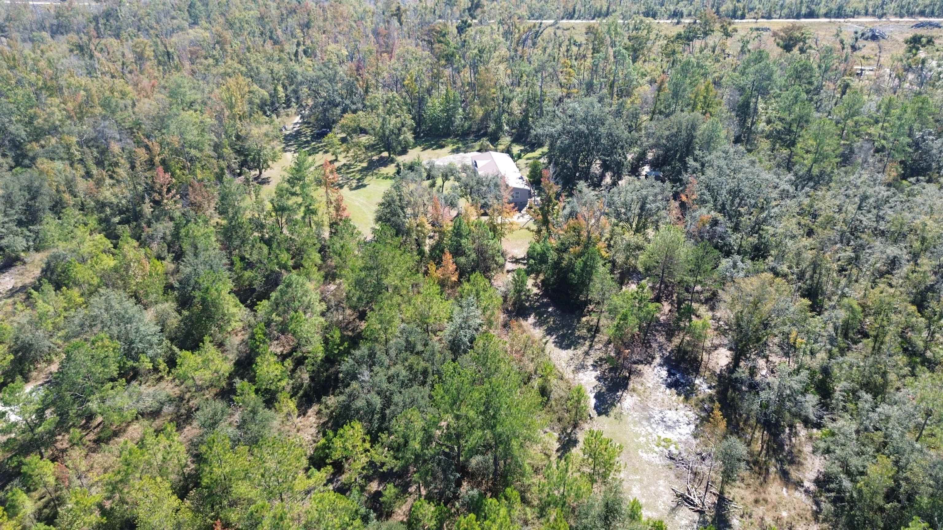 6740 Austin-McDonald Road Perry, FL 32348 - Photo 19 of 48