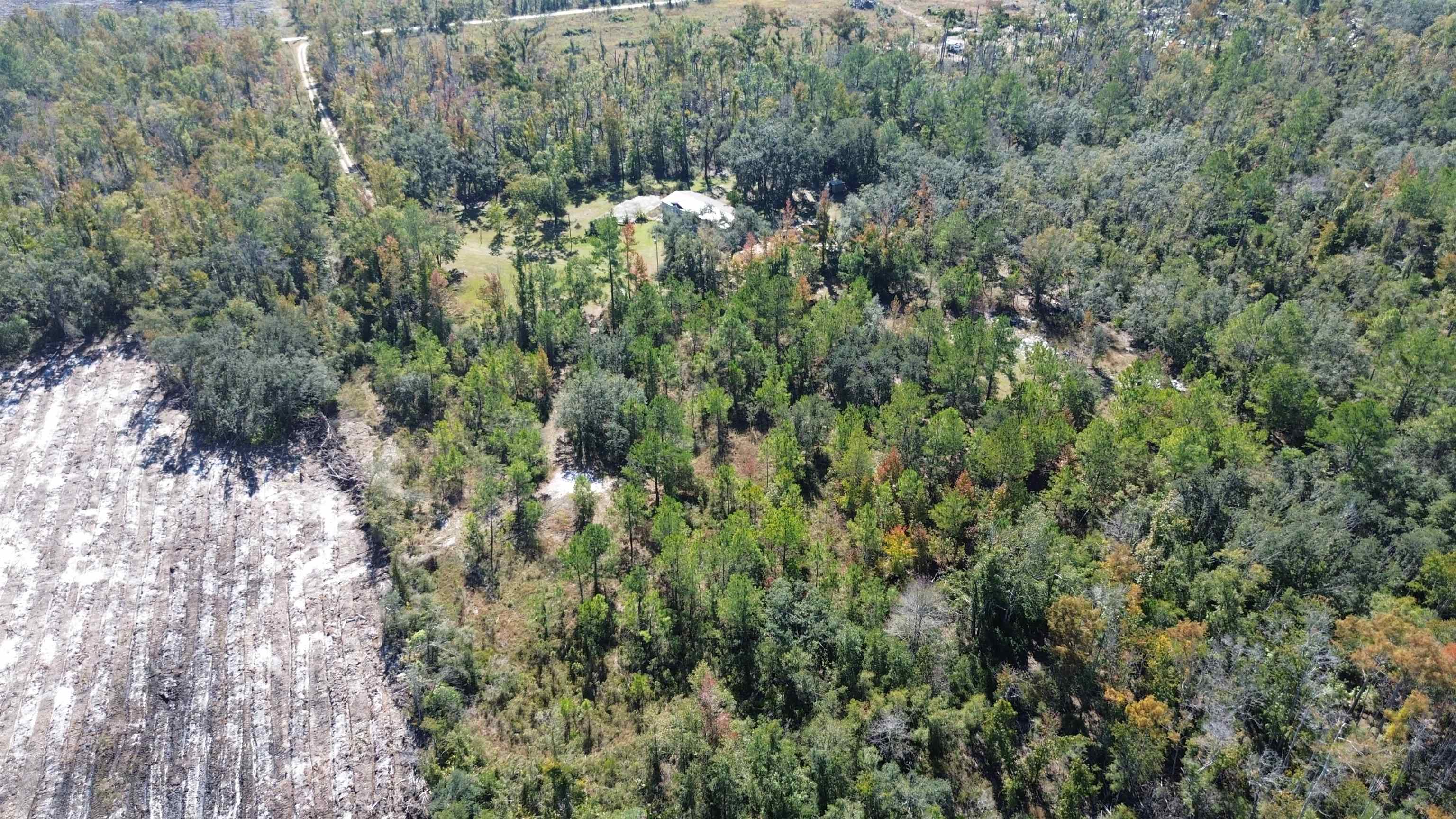 6740 Austin-McDonald Road Perry, FL 32348 - Photo 20 of 48