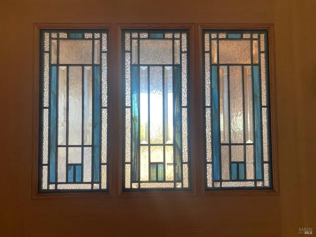 a view of a yard with plants