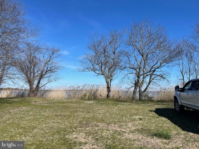 Lot 5 Deal Island Road Deal Island, MD 21821 - Photo 11 of 32 Gallery Image 11