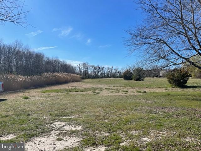 Lot 5 Deal Island Road Deal Island, MD 21821 - Photo 31 of 32 Gallery Image 31