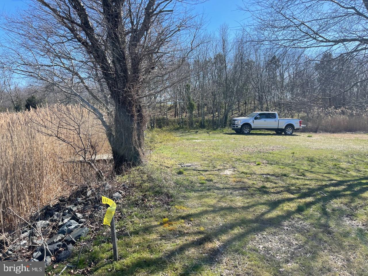 Lot 5 Deal Island Road Deal Island, MD 21821 - Photo 10 of 32 property corners