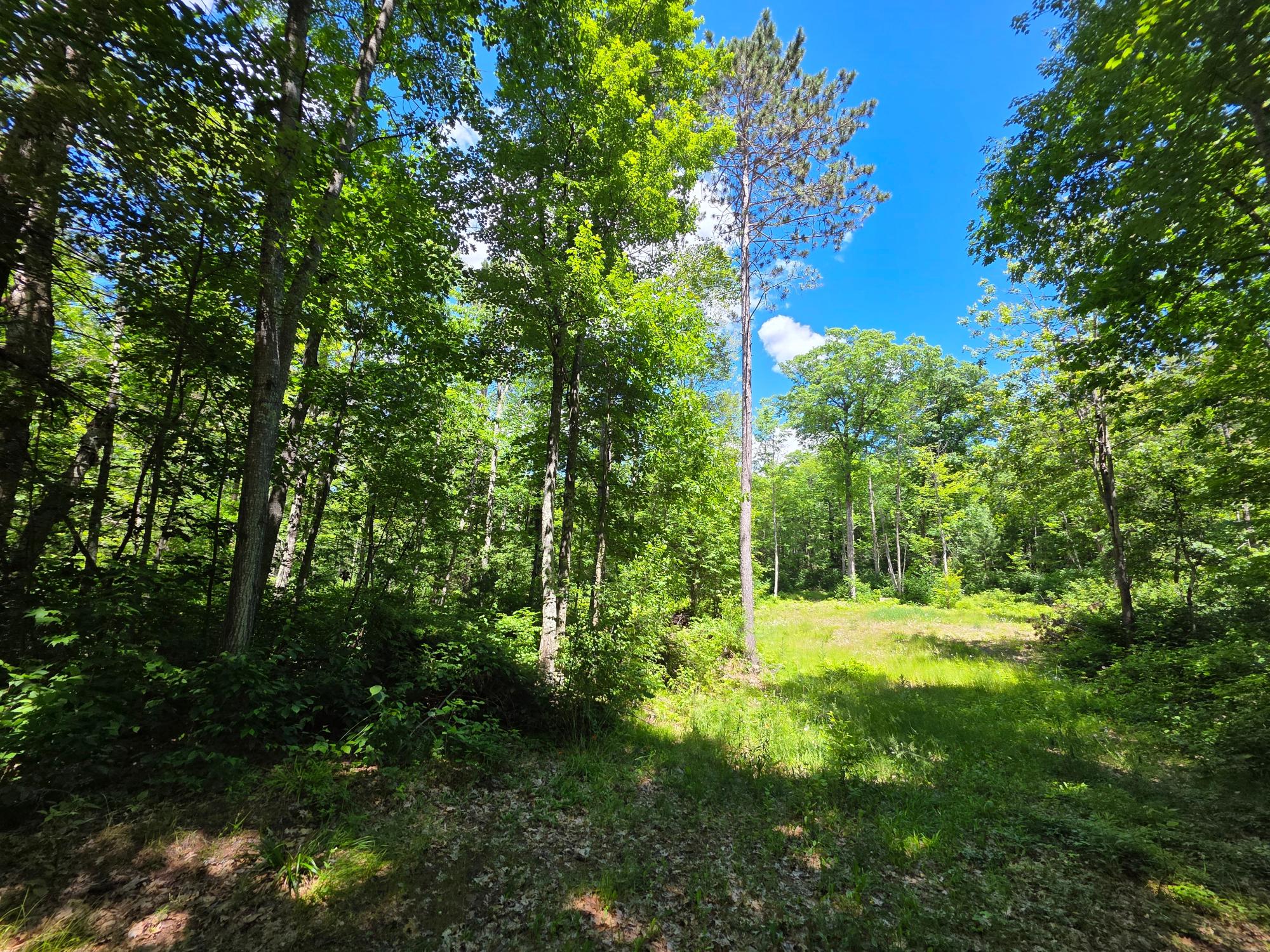N11478 Cottage Road Tomahawk, WI 54487 - Photo 3 of 27 Gallery Image 3