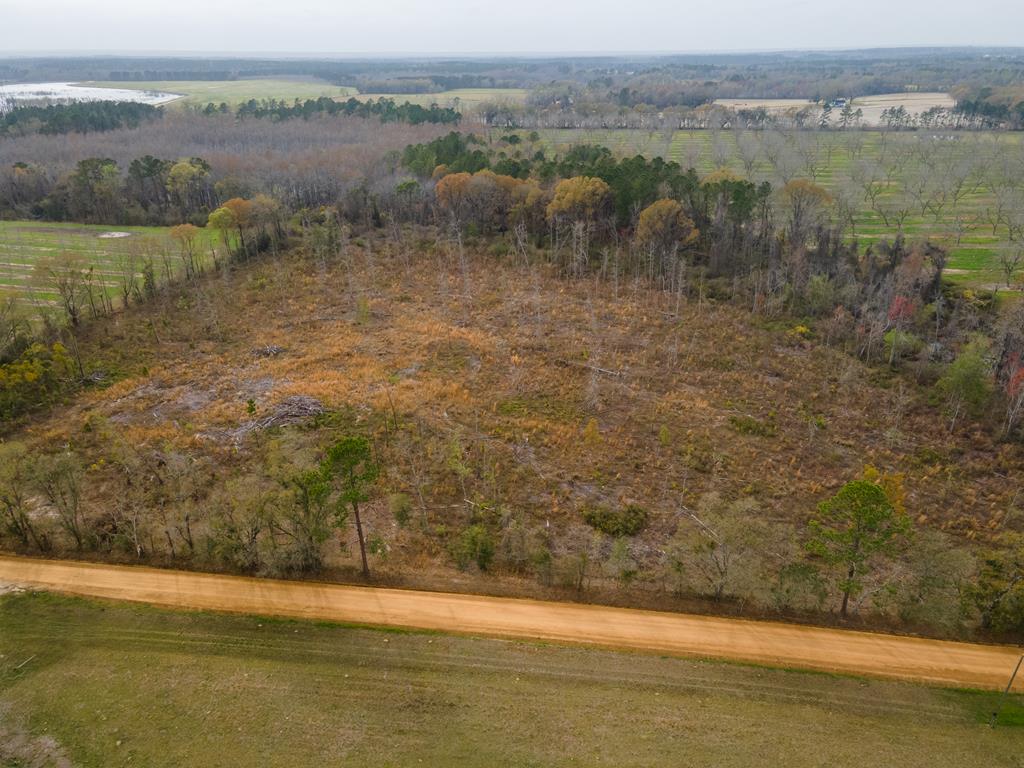 22-acres Davis Road Southwest Valdosta, GA 31601 - Photo 3 of 12 Gallery Image 3