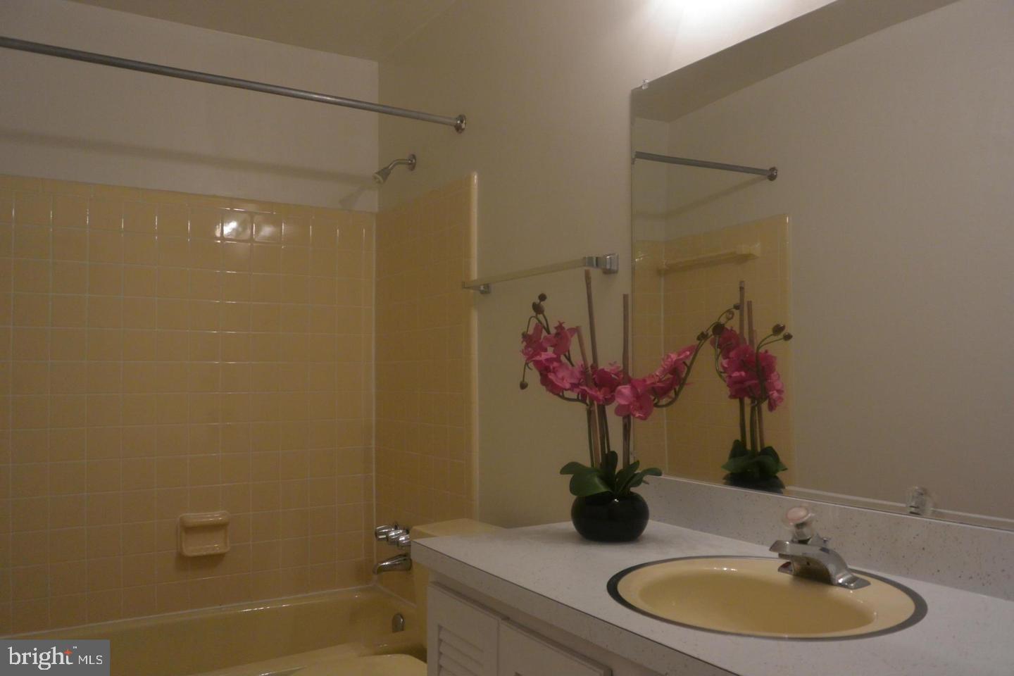 6750 Towne Lane Road McLean, VA 22101 - Photo 21 of 25 a bathroom with a sink a toilet and shower