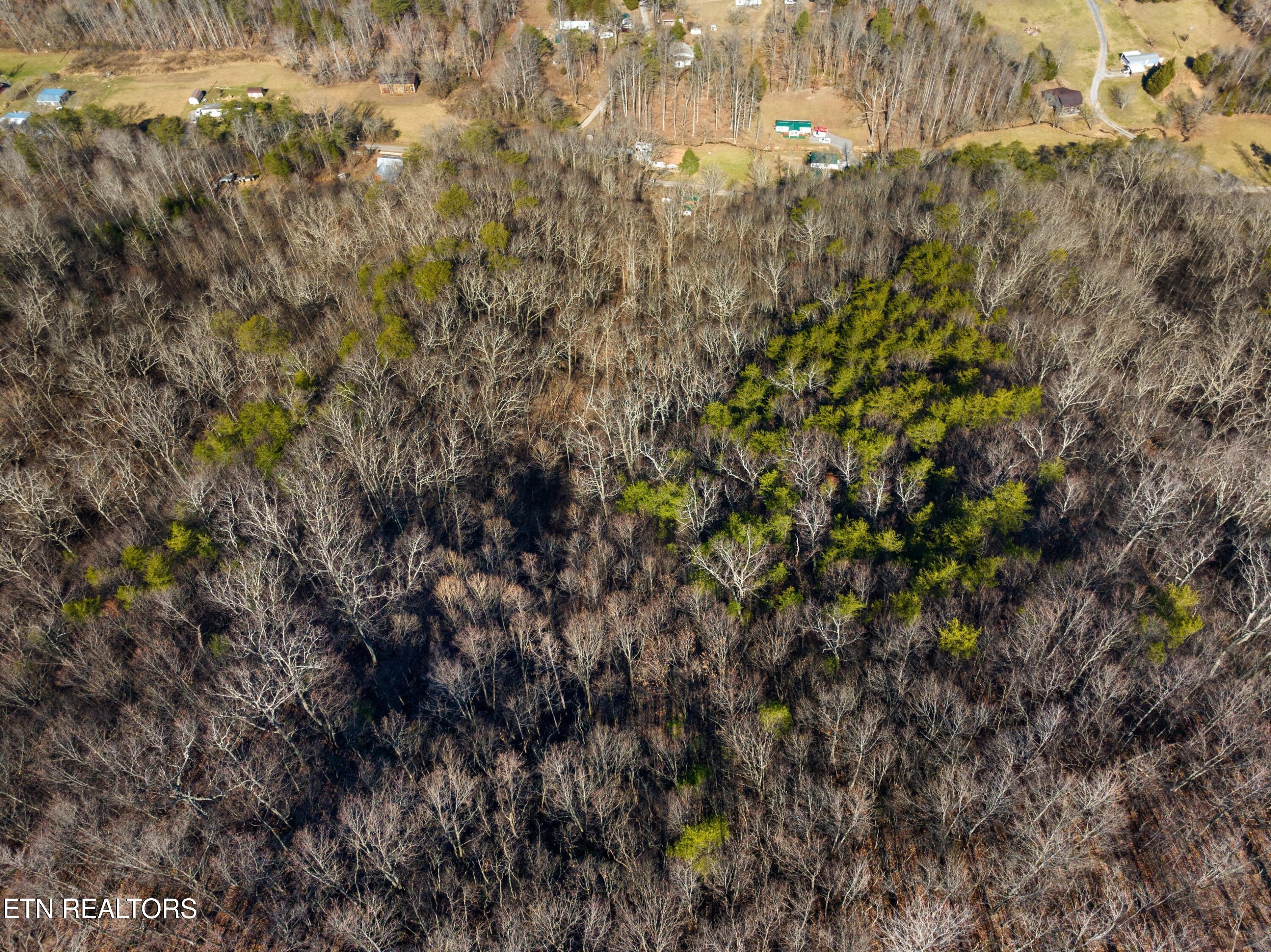 479 Poor Valley Road Rutledge, TN 37861 - Photo 13 of 14 EJI_20240207120915_0850_D.jpg-SMALL