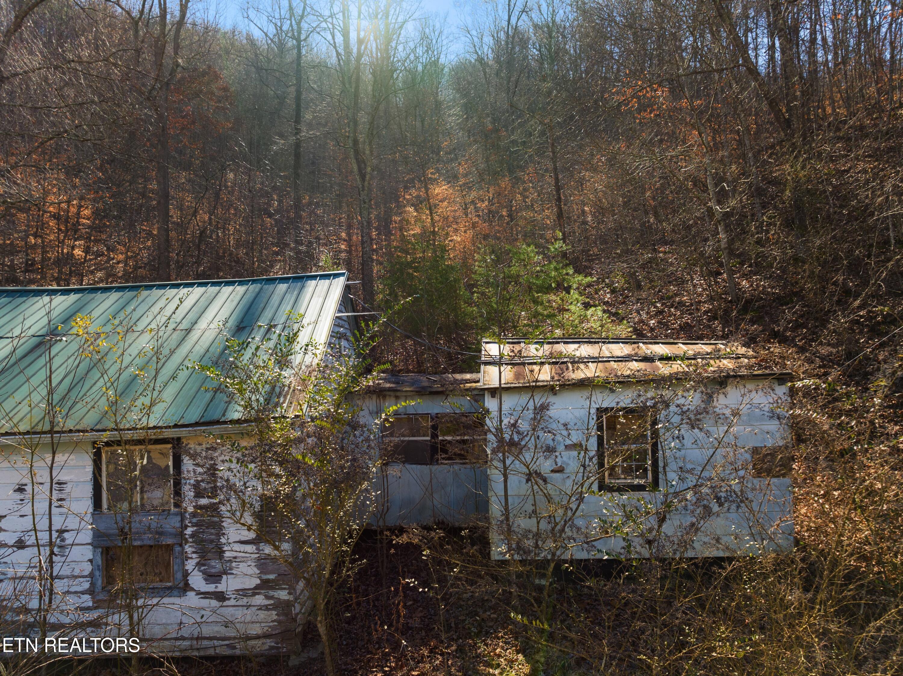 479 Poor Valley Road Rutledge, TN 37861 - Photo 5 of 14 EJI_20240207120634_0801_D.jpg-SMALL