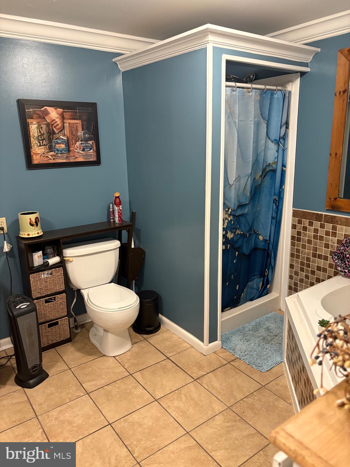 26669 Queentree Road Mechanicsville, MD 20659 - Photo 16 of 48 a bathroom with a toilet and a shower