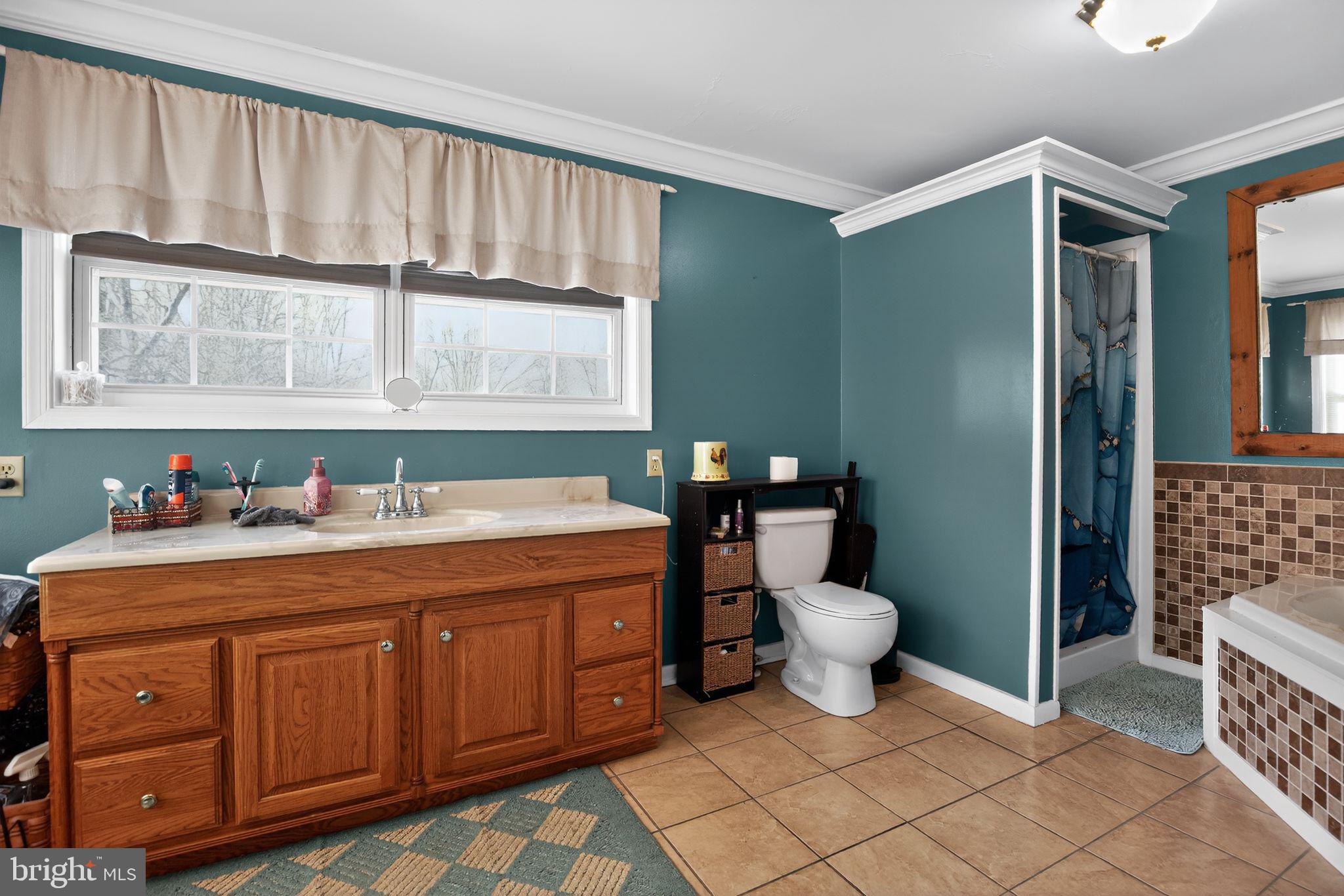26669 Queentree Road Mechanicsville, MD 20659 - Photo 23 of 48 a bathroom with a sink a toilet and shower