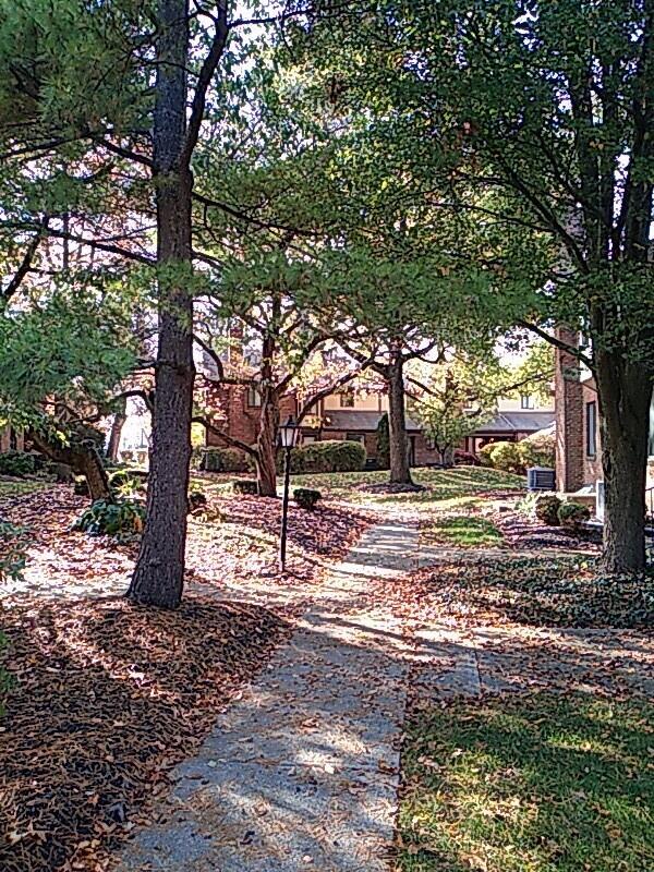 1856 Fishinger Road, Unit 2 Columbus, OH 43221 - Photo 2 of 29 Courtyard Pic 4
