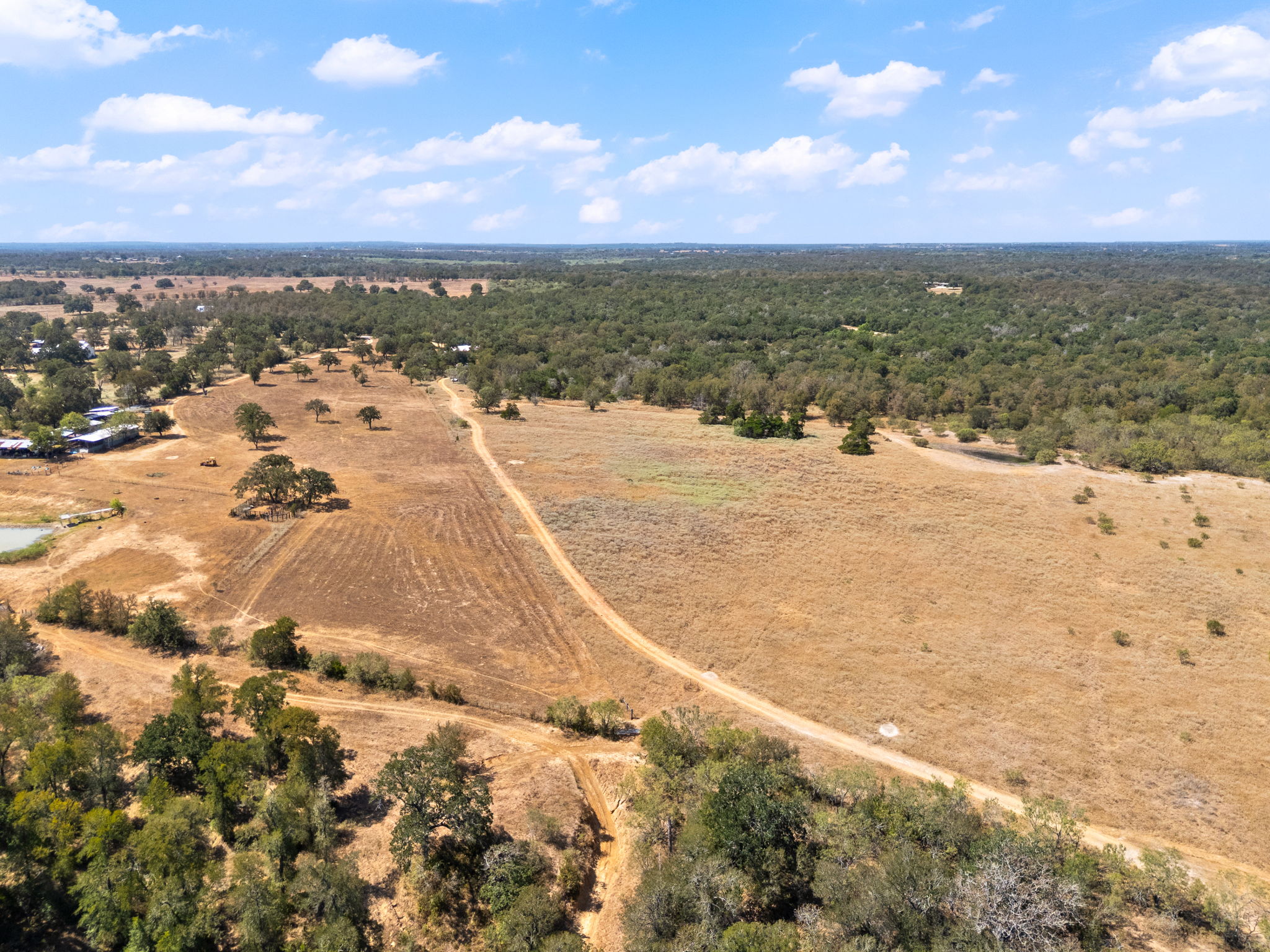 196 Willy Road Bastrop, TX 78602 - Photo 34 of 40 Expansive acreage features rolling pastures, dirt pathways, and dense stands of native mature trees.