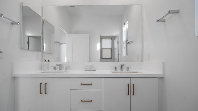 a bathroom with a shower and a toilet