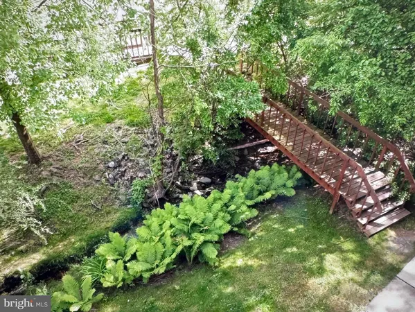 a plant that is in a garden