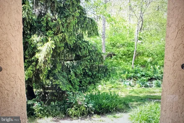 a view of a lush green forest