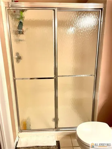 a bathroom with a shower and a toilet