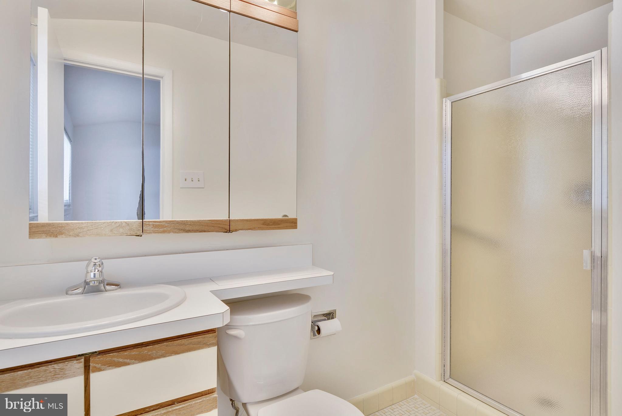 11243 Bybee Street Silver Spring, MD 20902 - Photo 20 of 30 Bath (Master)