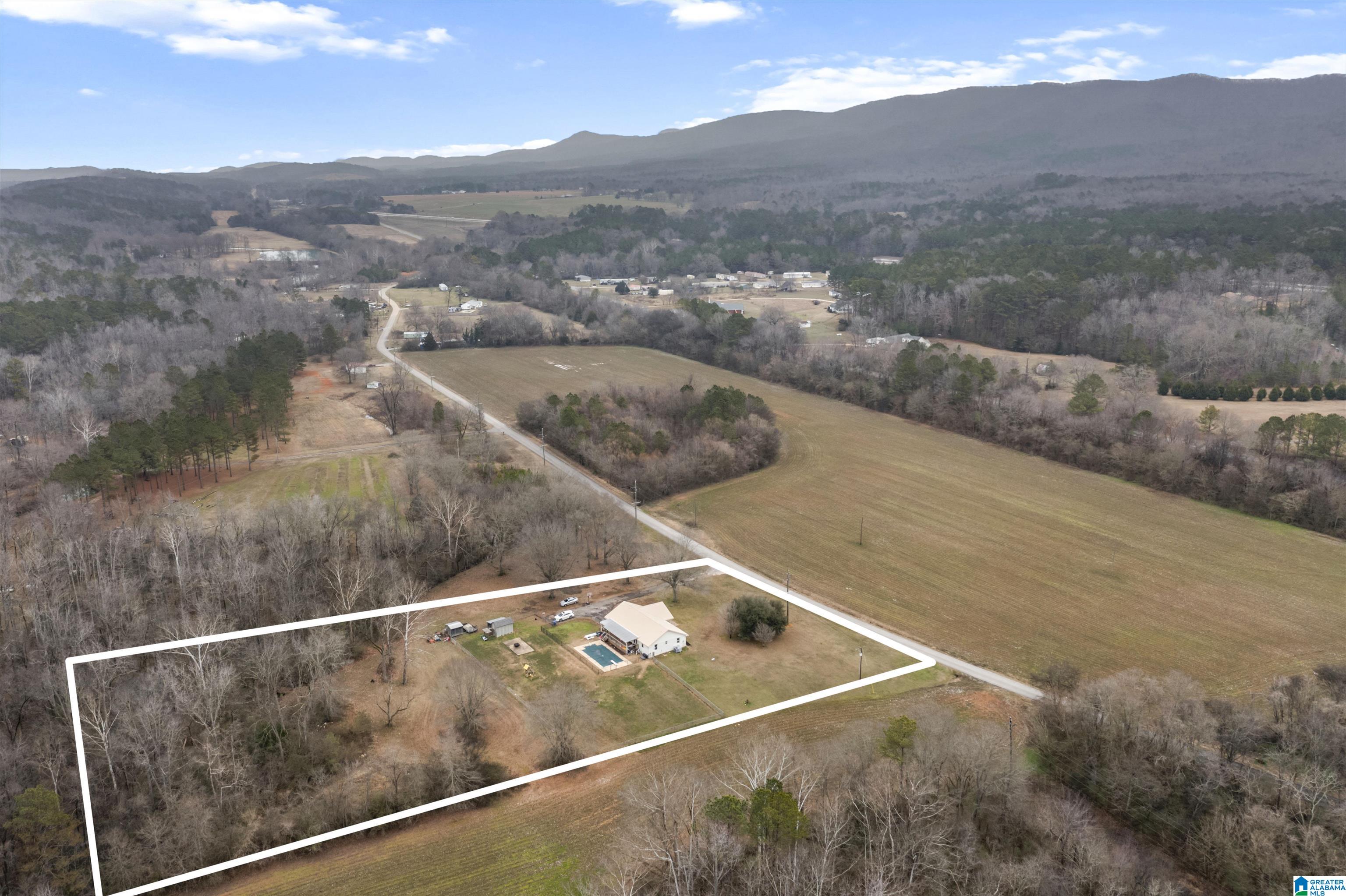 1695 Century Road Piedmont, AL 36272 - Photo 40 of 41 Gallery Image 40