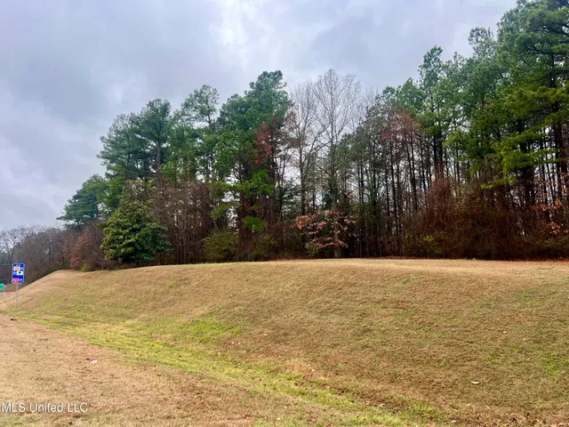 $324,086 | 51 Old Highway, Nesbit, MS 38651