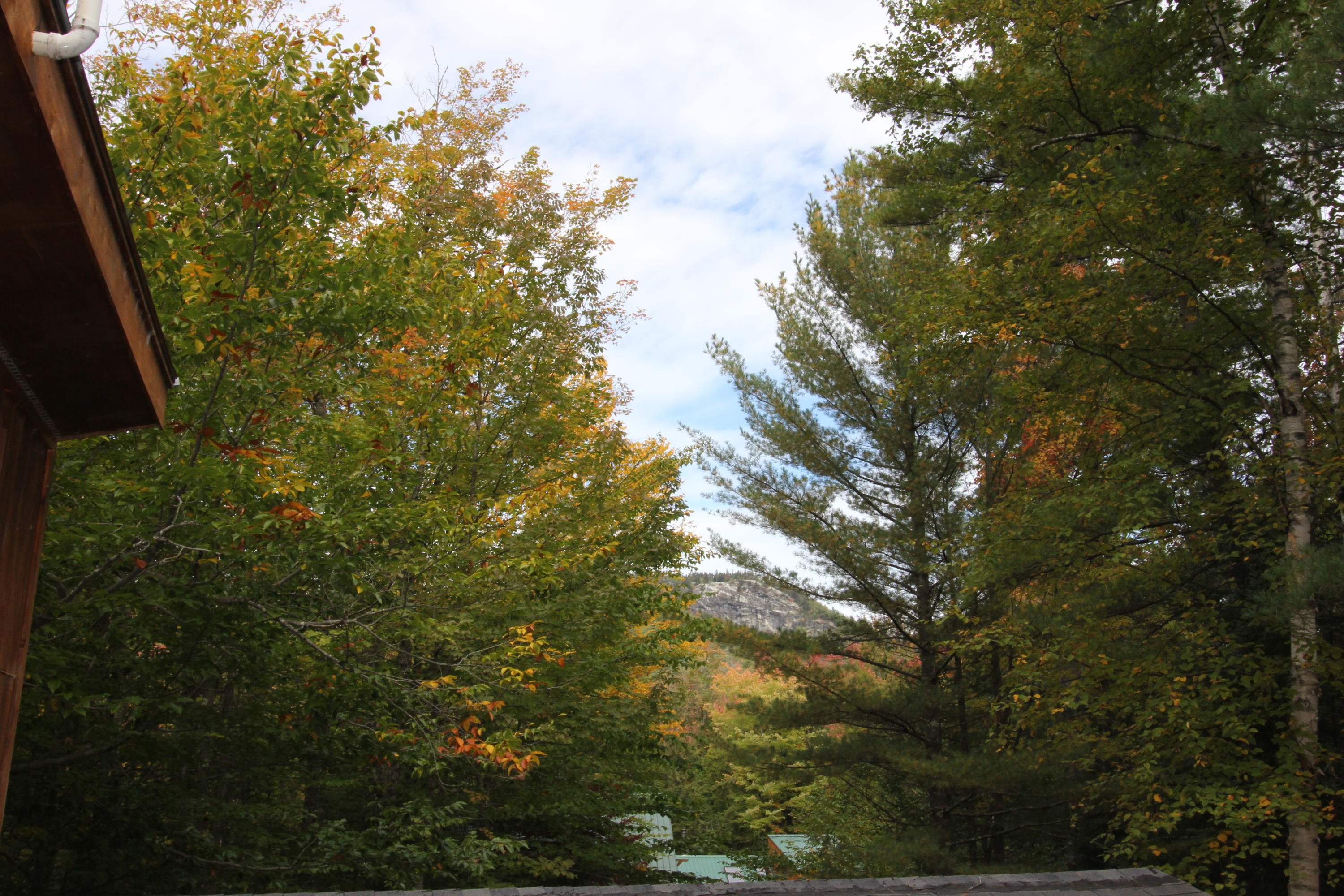 1250-1252 Redding Road Sumner, ME 04292 - Photo 18 of 58 IMG_9627