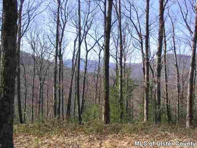 0 Beaverkill Road Mount Tremper, NY 12457 - Photo 1 of 3 Photo 2