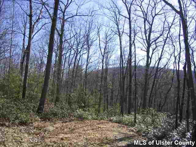 0 Beaverkill Road Mount Tremper, NY 12457 - Photo 3 of 3 Photo 4
