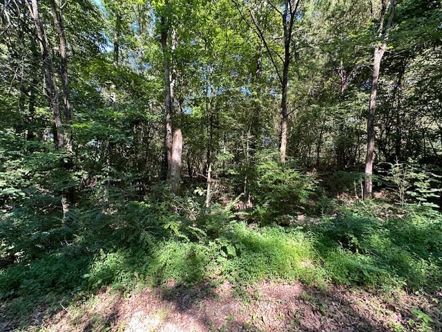 0 Cummins Road Eva, TN 38333 - Photo 4 of 12 a view of a lush green forest