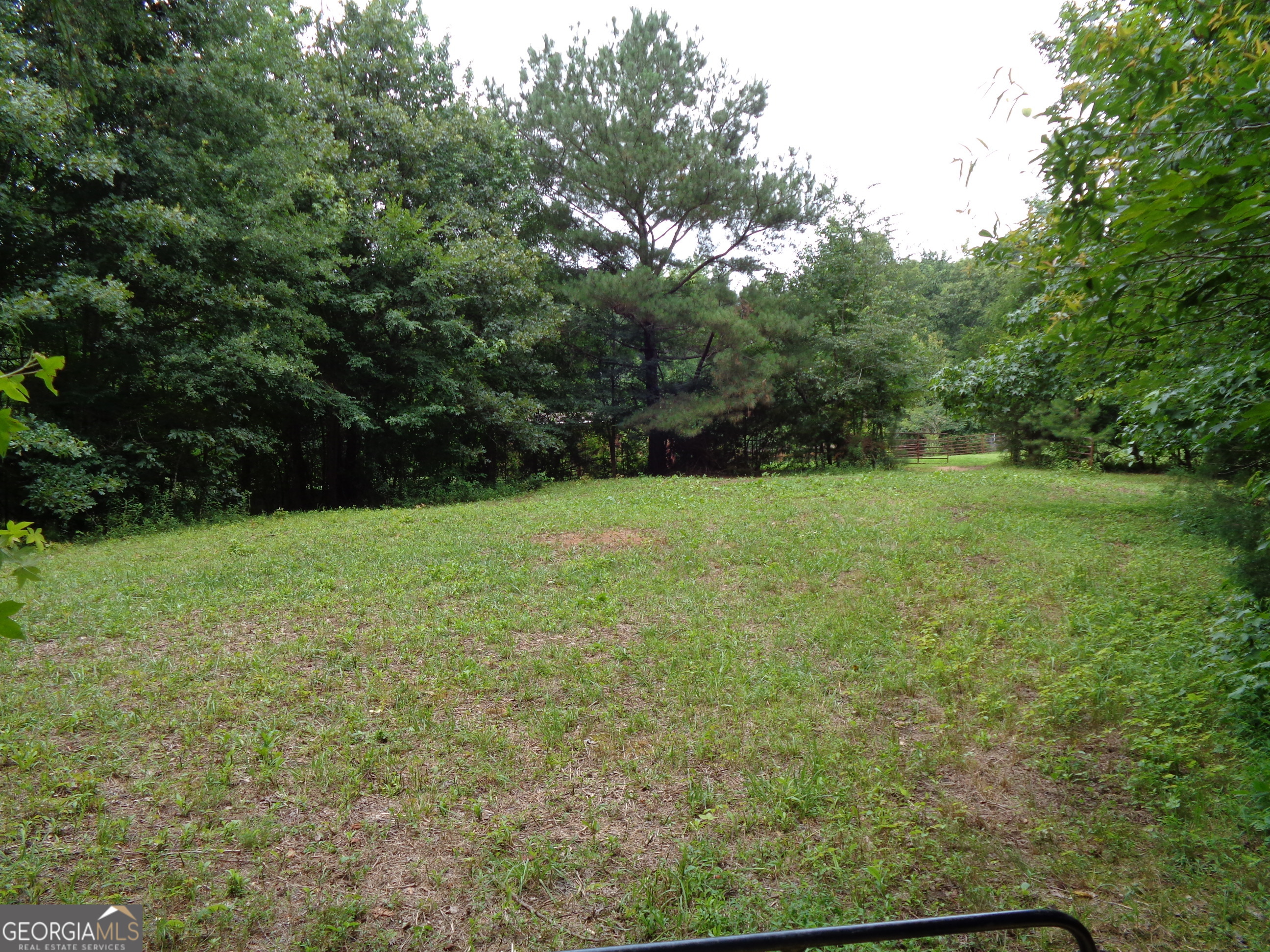 2411 Kesler Road Carnesville, GA 30521 - Photo 22 of 61 a view of green field with trees in the background