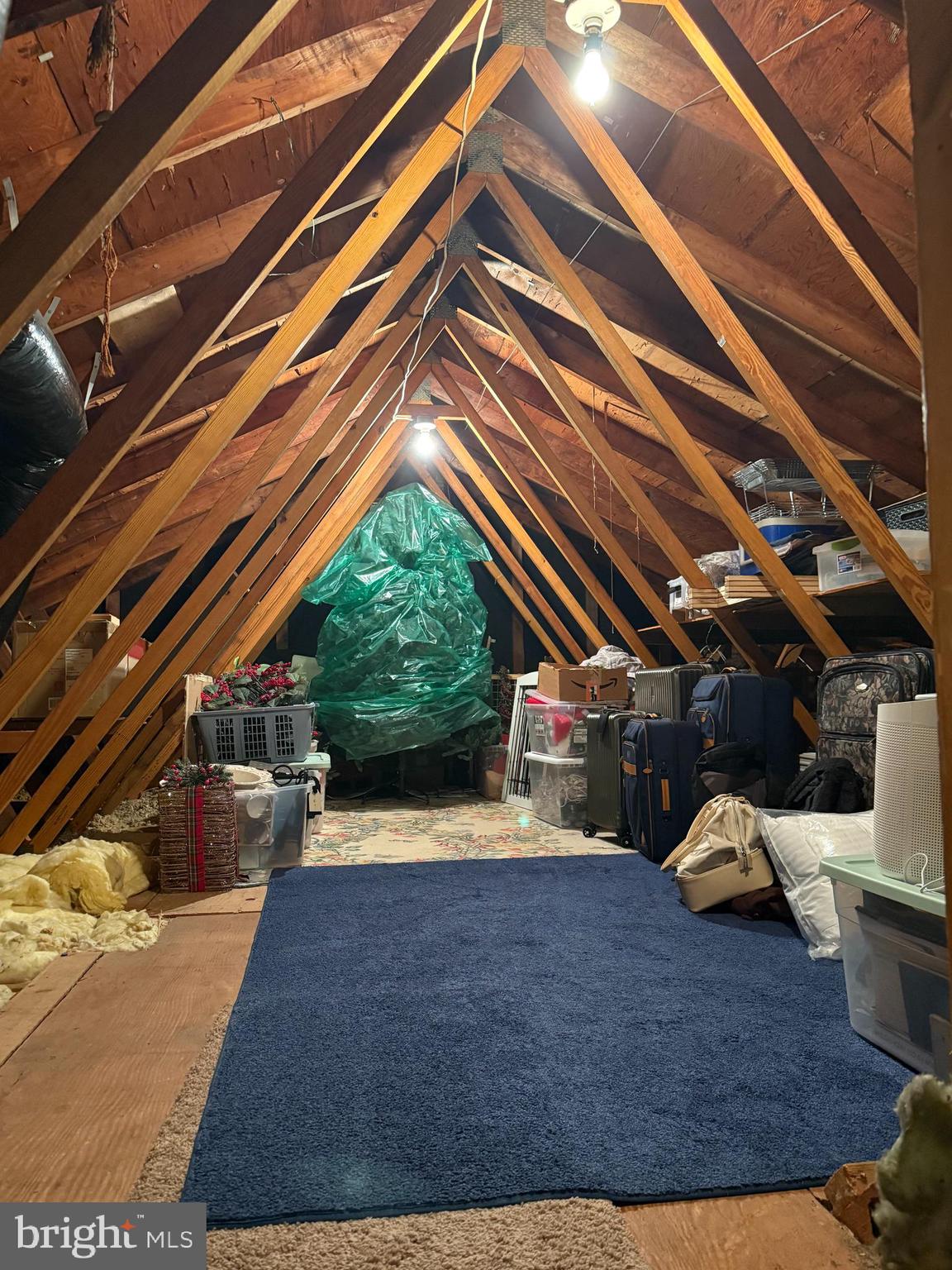 962 Edwards Drive Springfield, PA 19064 - Photo 27 of 32 Walk-up attic storage