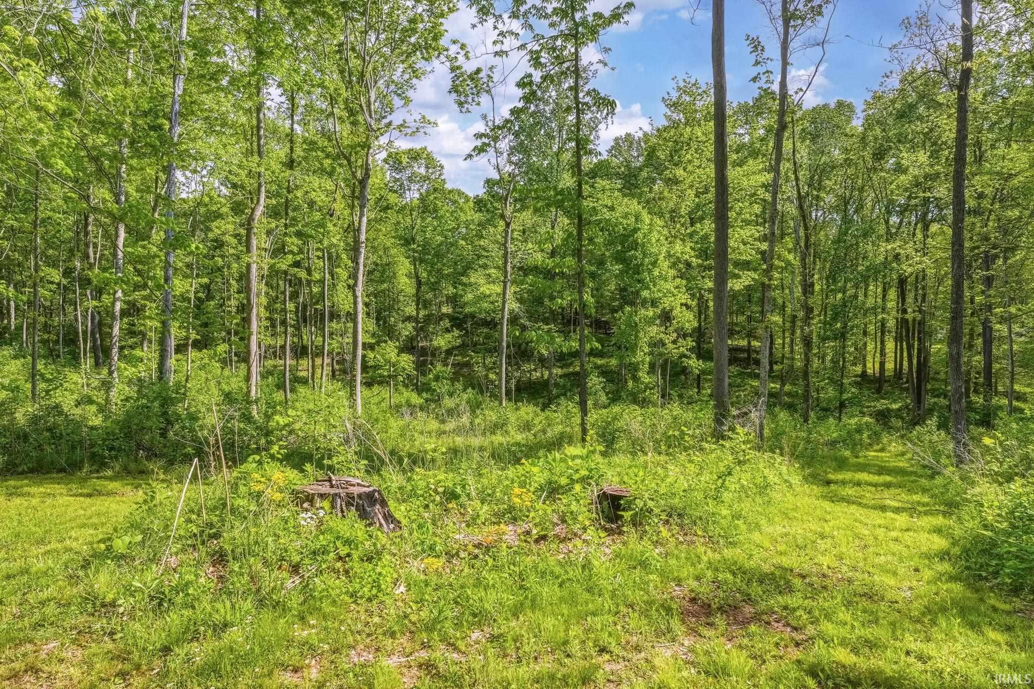 488 Clark Smith Road Mitchell, IN 47446 - Photo 7 of 14