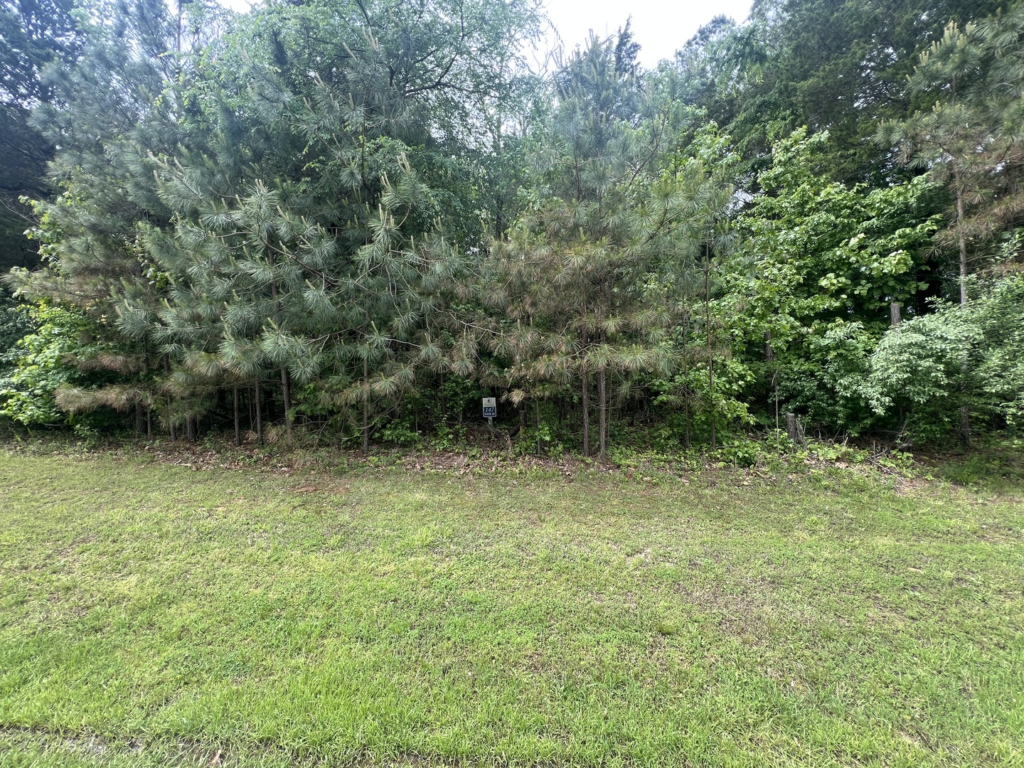 Lot 147 Parrish Ridge Goreville, IL 62939 - Photo 12 of 20