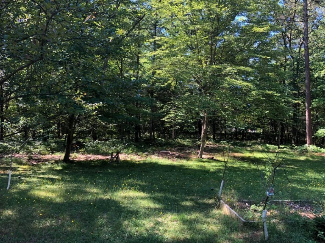 3675 West Giles Road Muskegon, MI 49445 - Photo 52 of 53 109108333_935646813619724_27560067079175