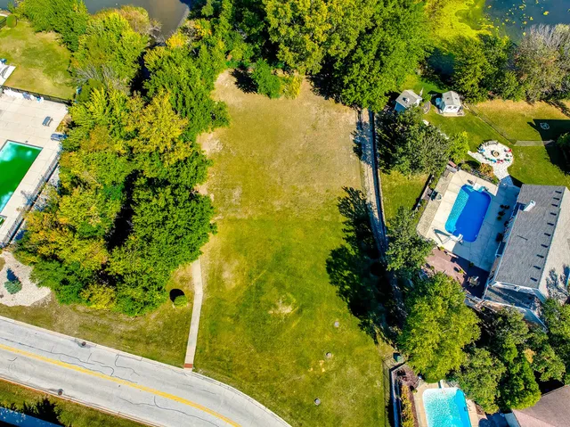 a view of a garden with plants