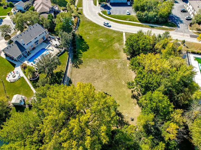 a view of a garden with plants