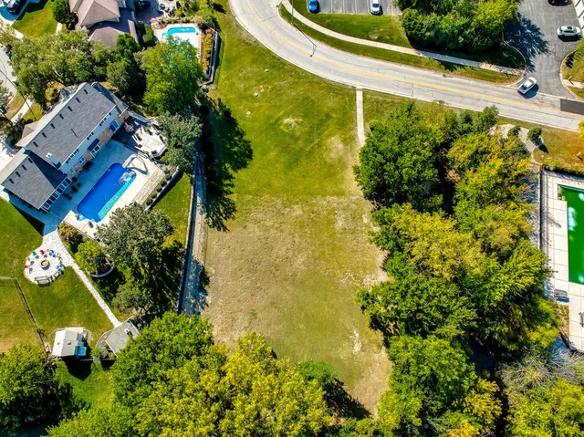 a view of a yard with plants