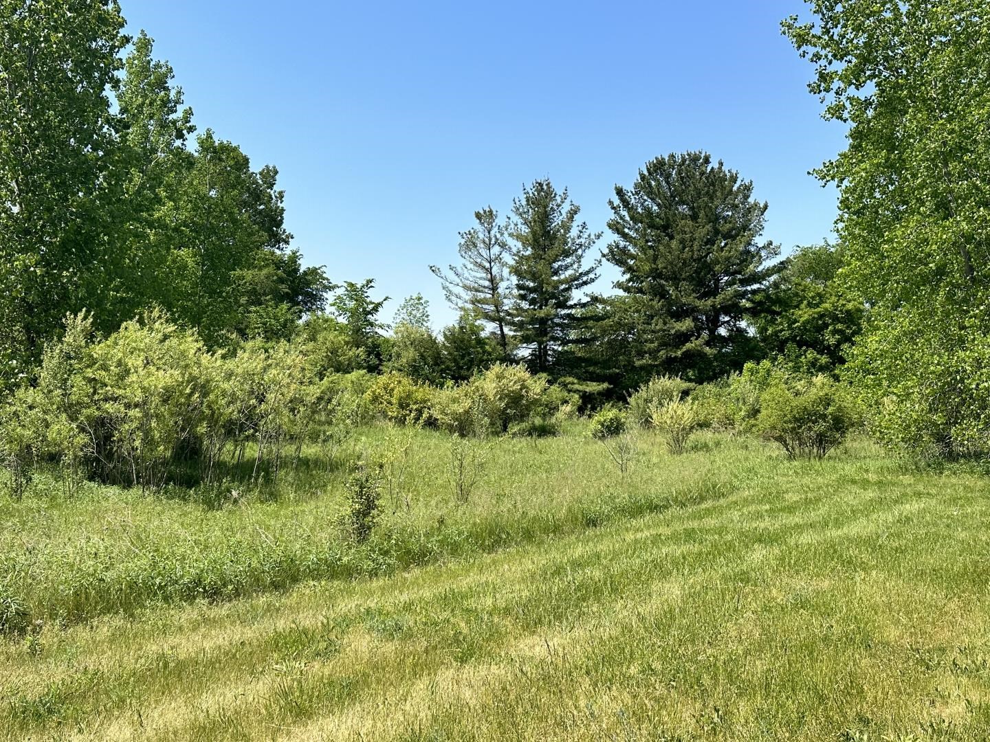 Tbd Tbd Kali, Unit 5 Alma, MI 48801 - Photo 5 of 21