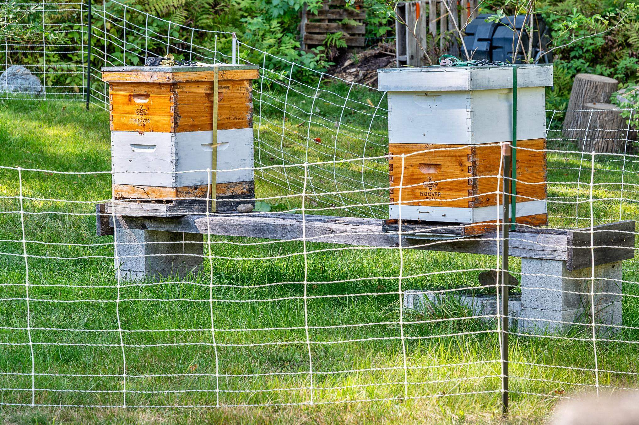 611 Patch Road Morristown, VT 05661 - Photo 43 of 60