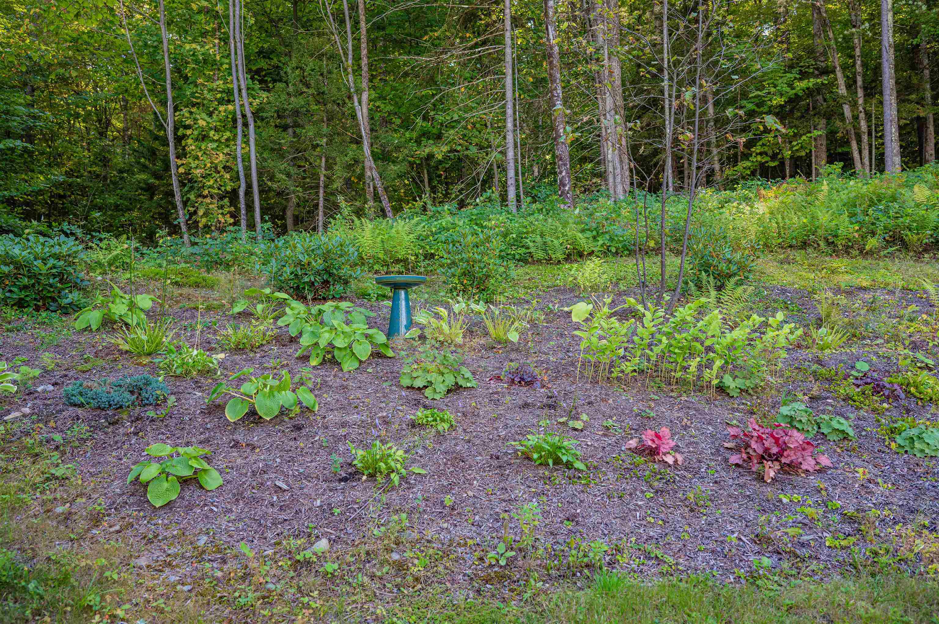 611 Patch Road Morristown, VT 05661 - Photo 47 of 60