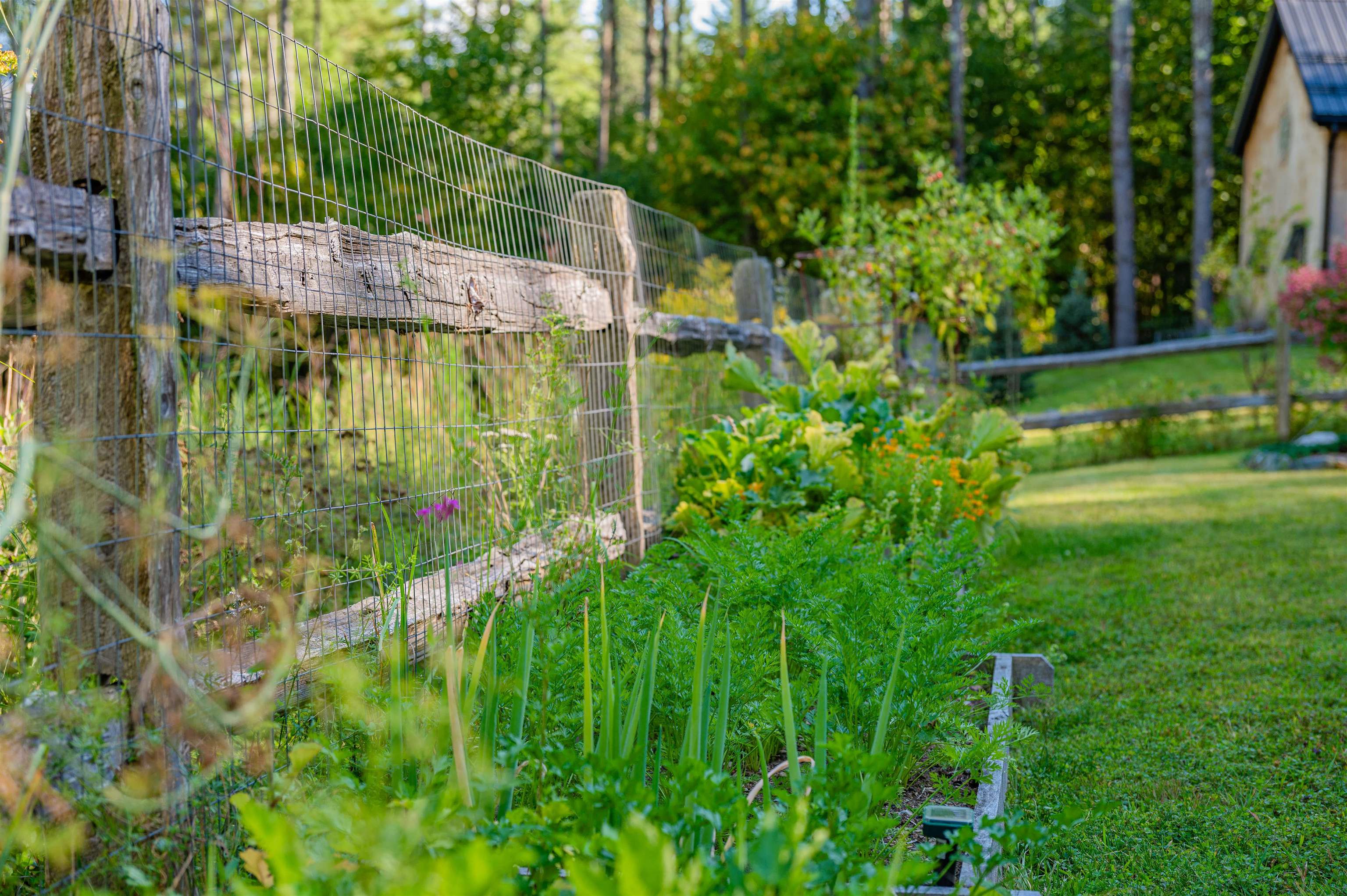 611 Patch Road Morristown, VT 05661 - Photo 51 of 60