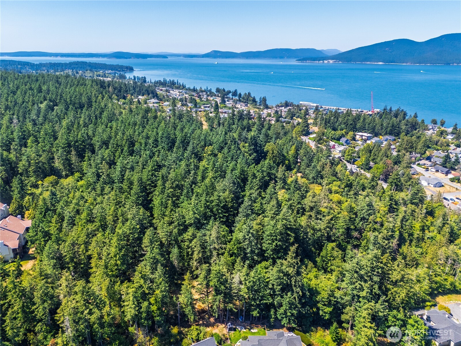 0 17th Street Anacortes, WA 98221 - Photo 6 of 12 a view of a lush green field with lots of bushes