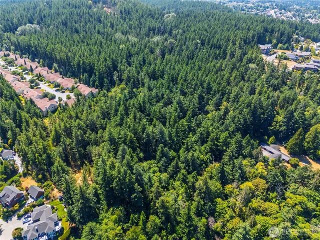 a view of a garden with flowers