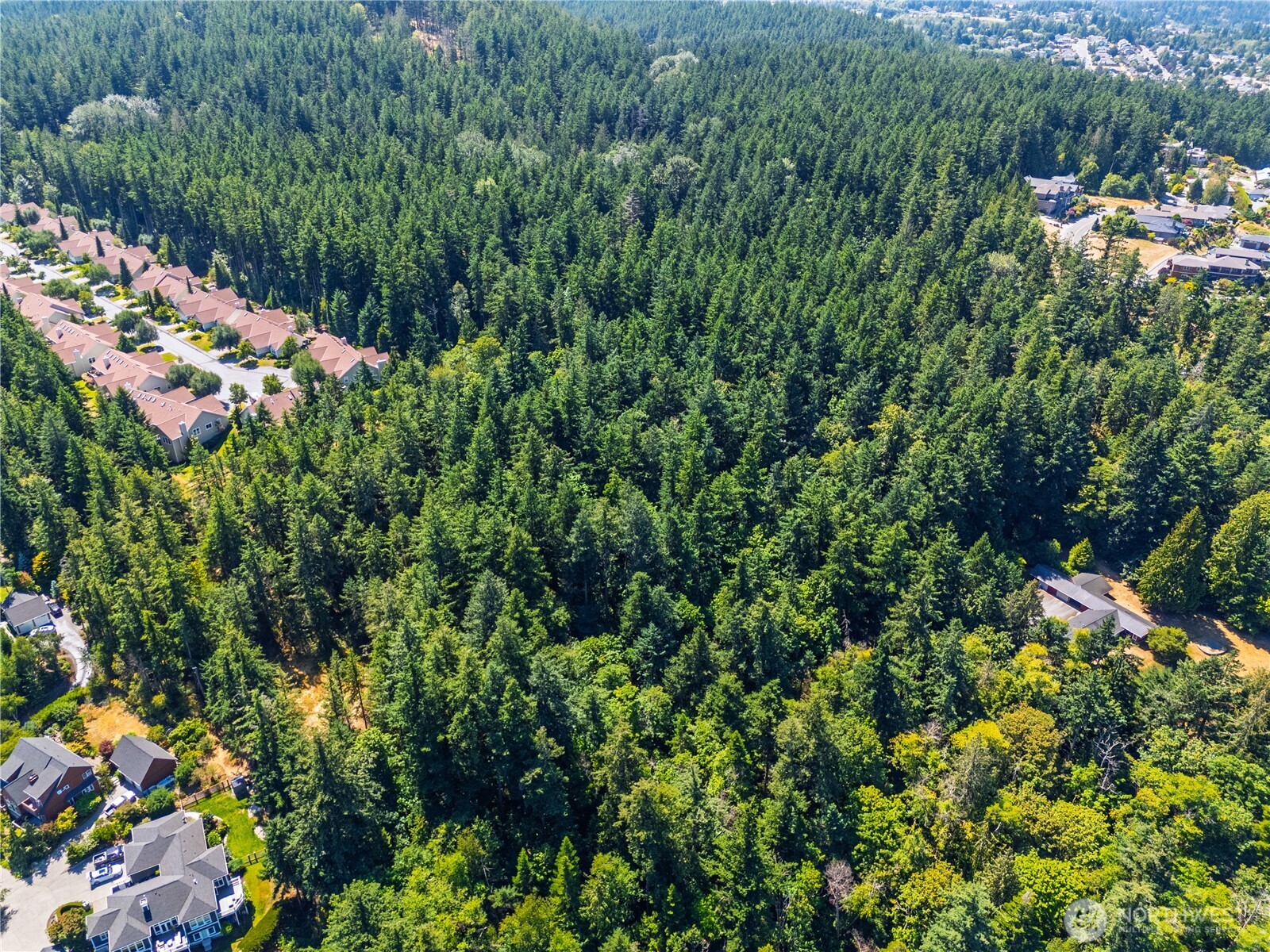 0 17th Street Anacortes, WA 98221 - Photo 10 of 12 a view of a garden with flowers