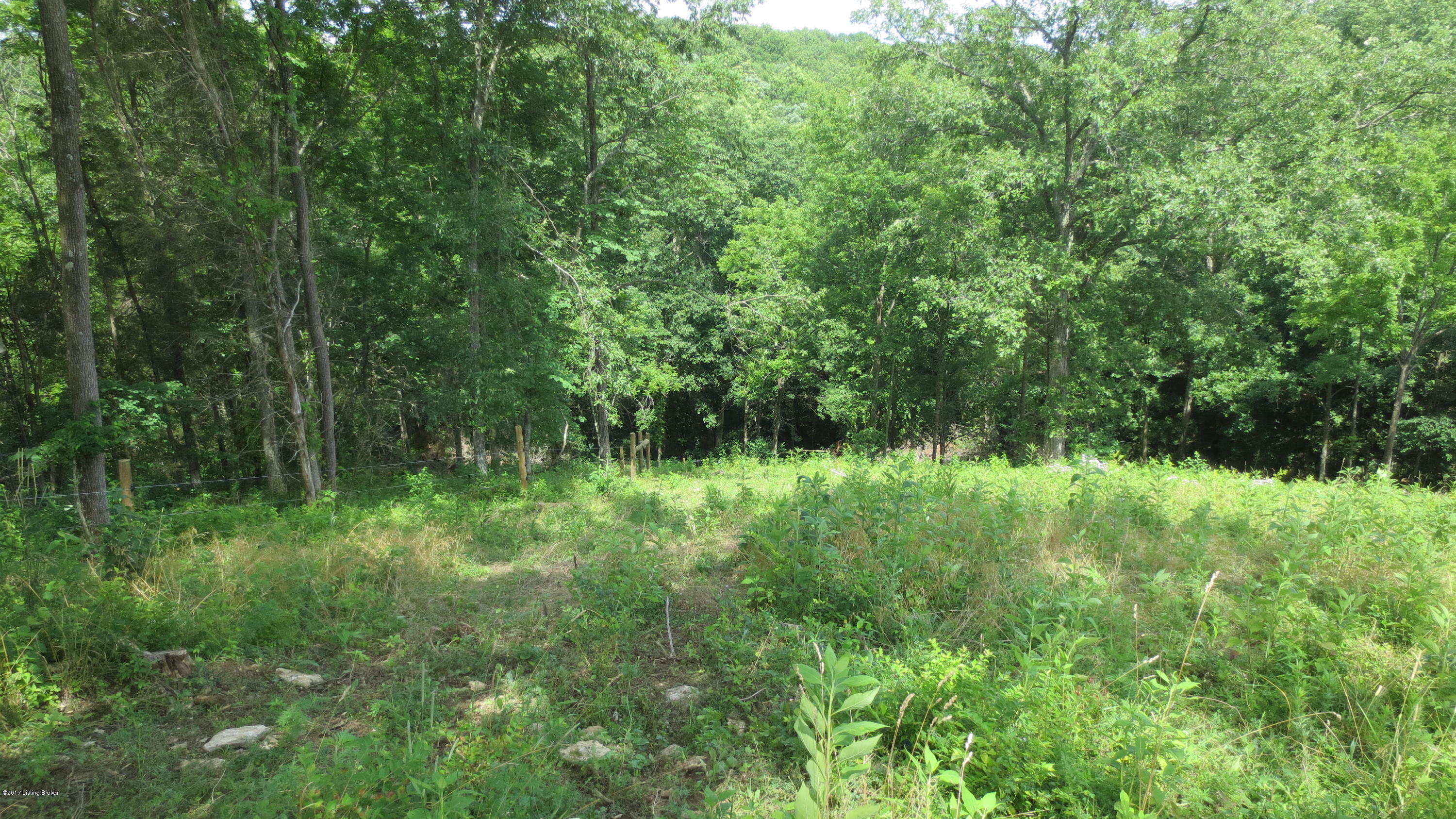 1160 Mt Gilead Road New Castle, KY 40050 - Photo 15 of 24 IMG_0691