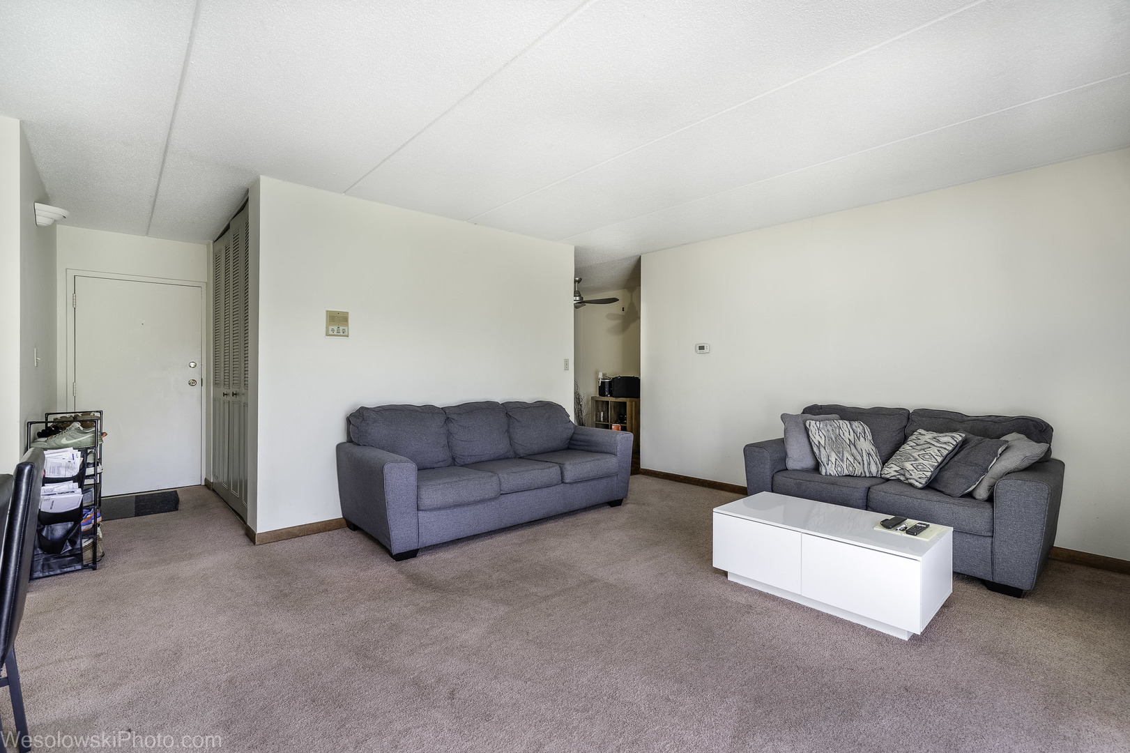 577 Fairway View Drive, Unit 1J Wheeling, IL 60090 - Photo 9 of 26 a living room with furniture and a couch