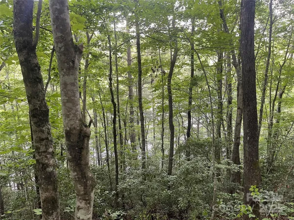 $450,000 | 2642 Canada Road, Tuckasegee, NC 28783