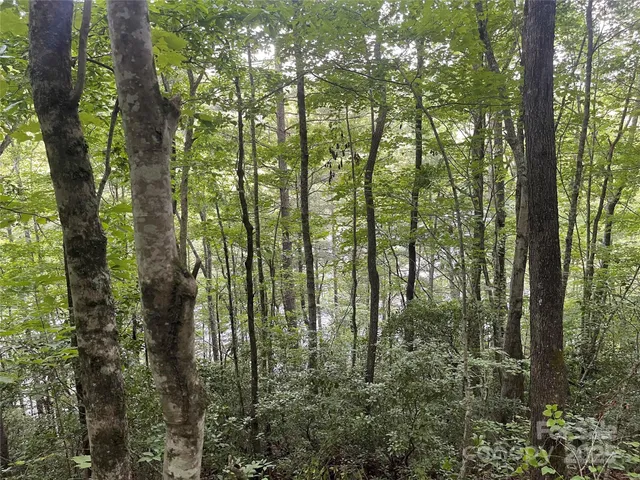 $450,000 | 2642 Canada Road, Tuckasegee, NC 28783