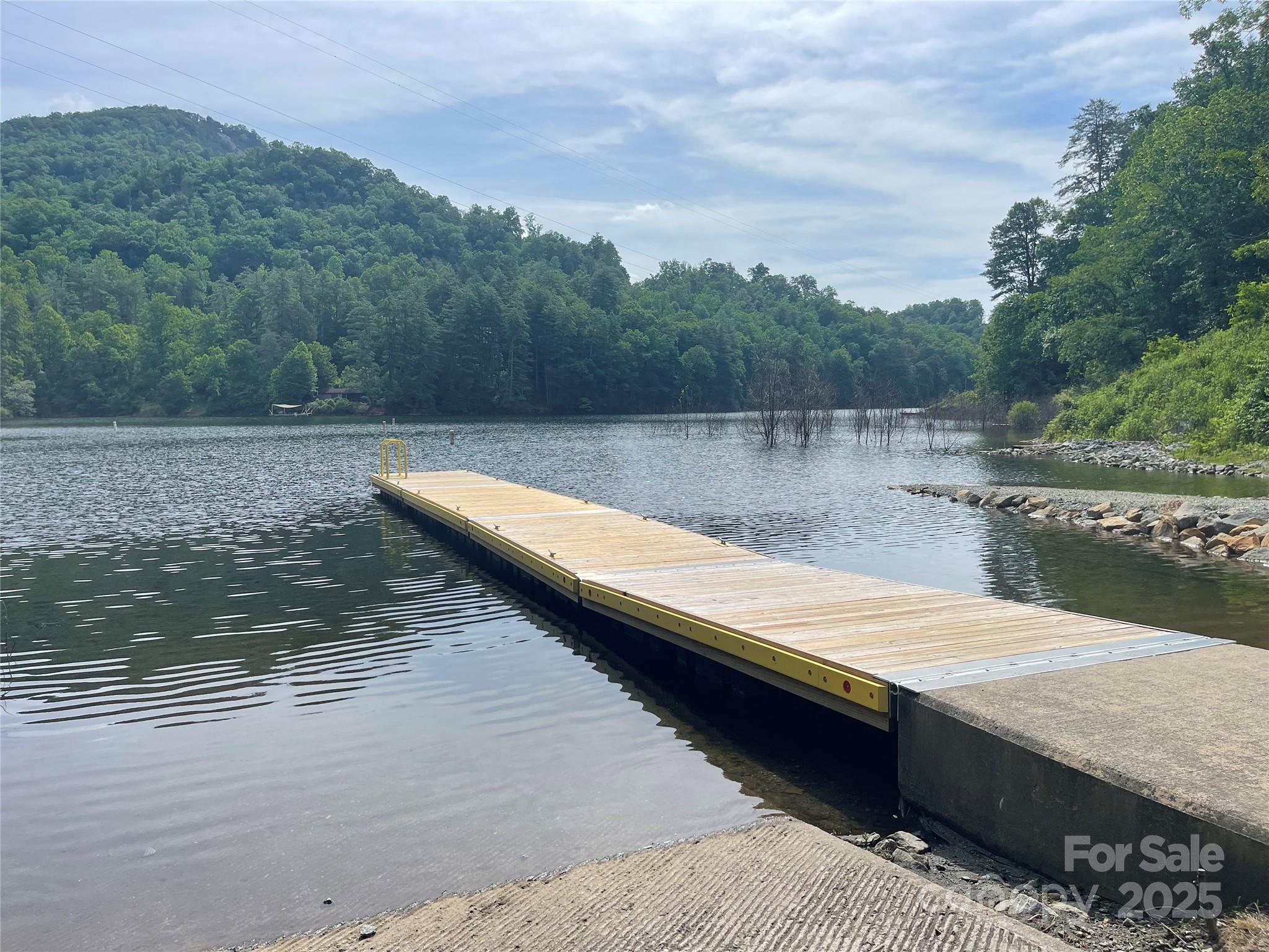 2642 Canada Road Tuckasegee, NC 28783 - Photo 3 of 9